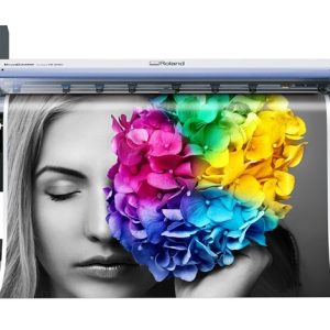 Large Format Printing